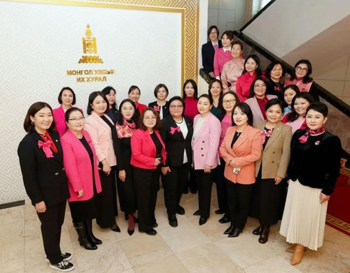 УИХ-ын эмэгтэй гишүүд мэдээлэл хийж байна